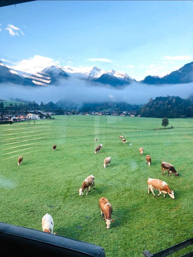 Apartment Weitblick Wald im Pinzgau Buitenkant foto
