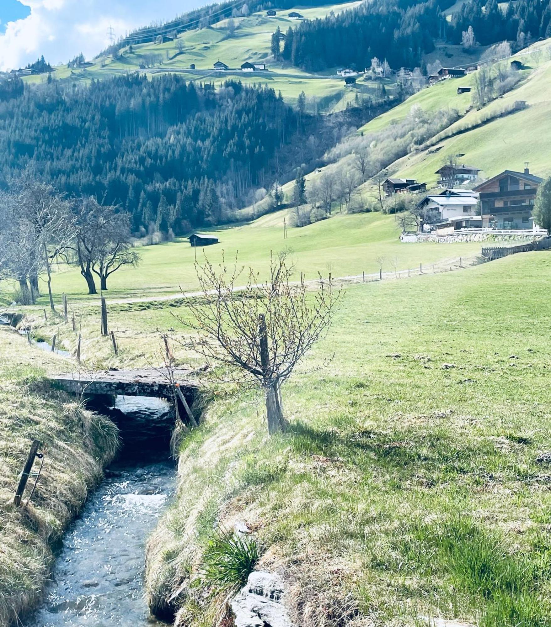 Apartment Weitblick Wald im Pinzgau Buitenkant foto